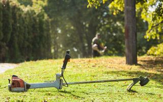 DESBROCES Y LIMPIEZA DE PARCELAS