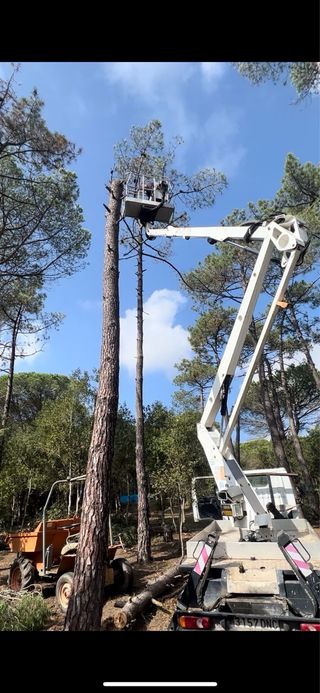 DESBROCES Y LIMPIEZA DE PARCELAS