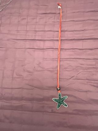 Collar estrella de mar verde y plata