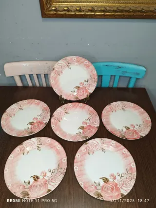 6 Platos Llanos Porcelana Francesa Rosas