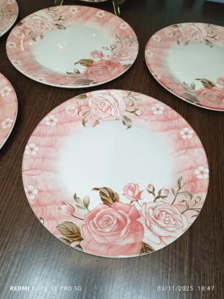6 Platos Llanos Porcelana Francesa Rosas