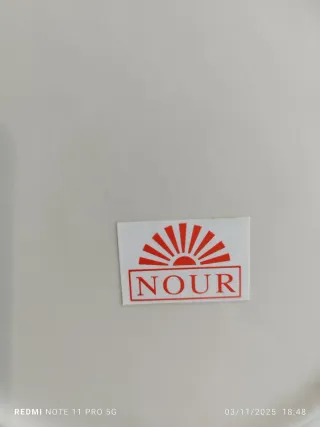 6 Platos Llanos Porcelana Francesa Rosas