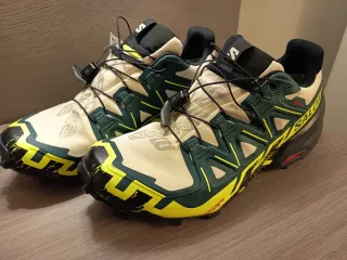 Salomon Speedcross 6 GTX Beige/Verde