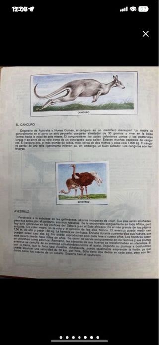Álbum Cromos Animales del Zoo 1973
