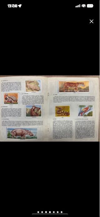 Álbum Cromos Animales del Zoo 1973