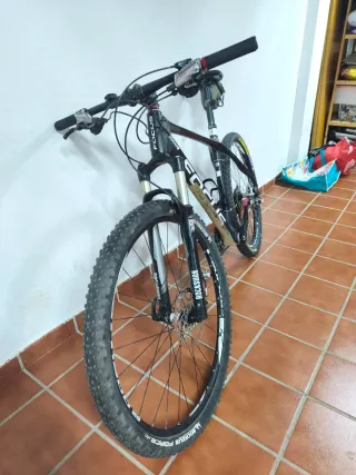 Bicicleta XC 29 Carbono