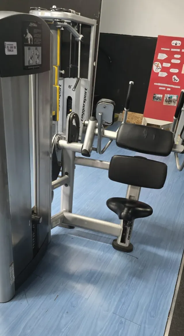 Máquina Abdominales Life Fitness