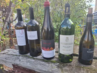 Bottiglie di vino vuote (10 unità)