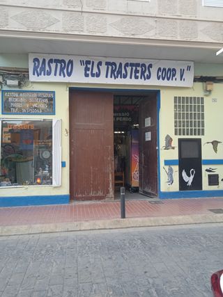 Botas de esquí infantiles