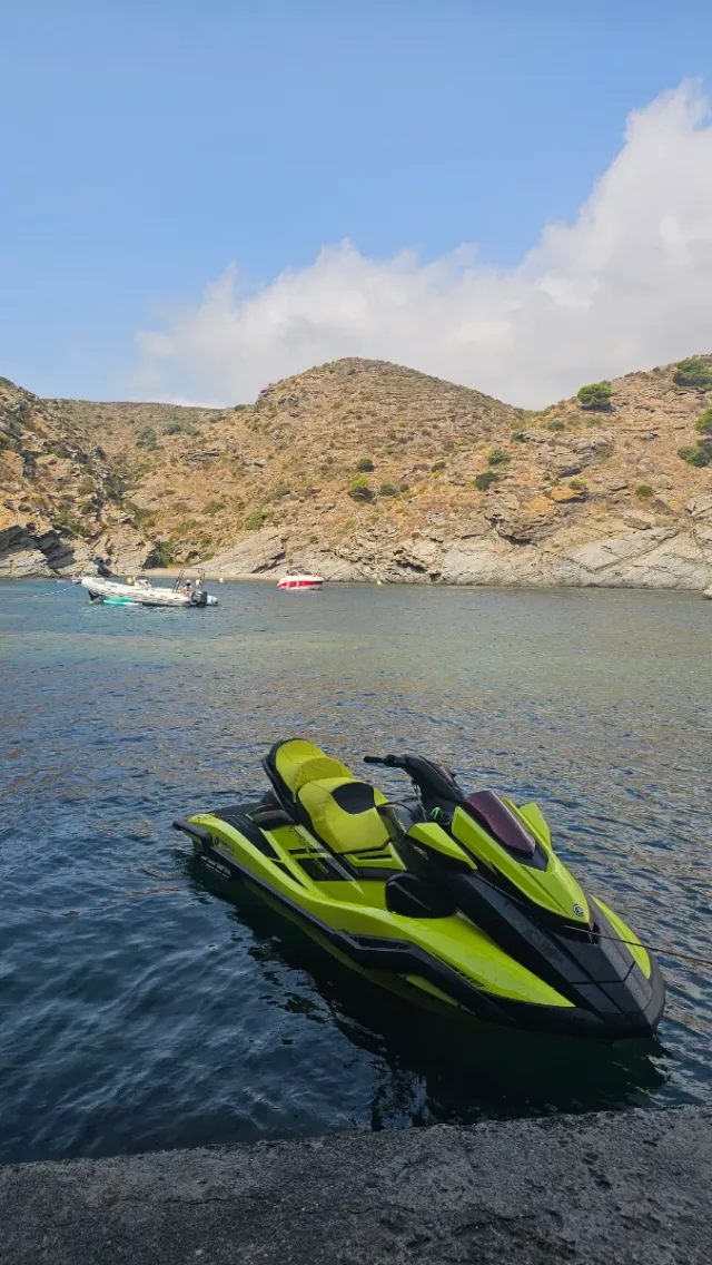 Yamaha FX HO Cruiser Jet Ski