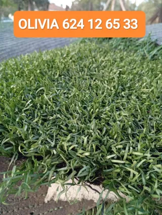 Césped artificial reciclado