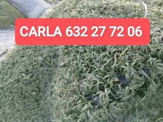 Césped artificial reciclado