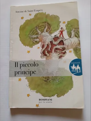 Il piccolo principe