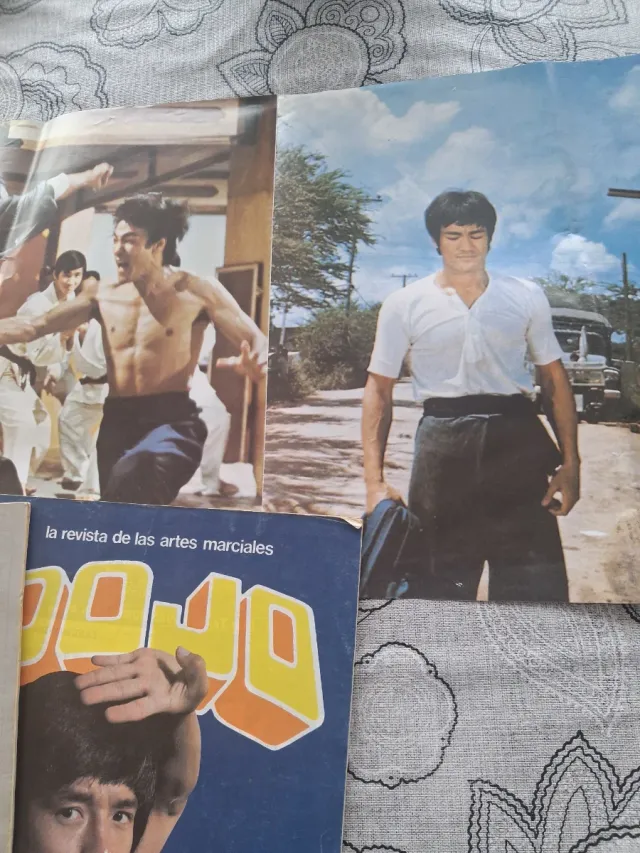 Revista Bruce Lee y Dojo