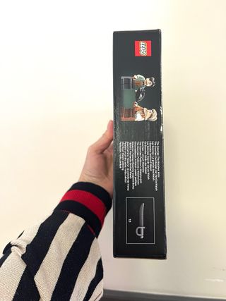 LEGO The Goonies The Walshes' Attic 40773