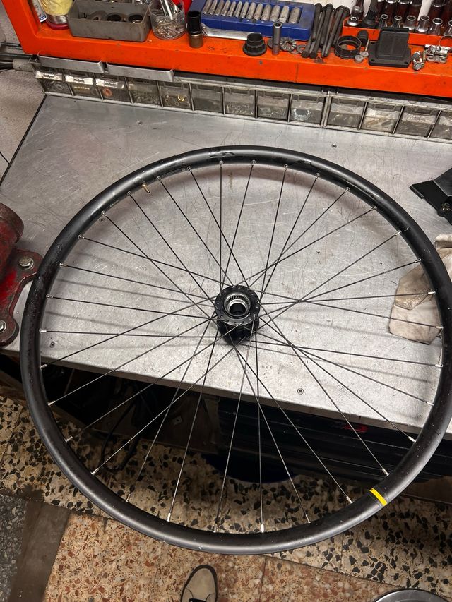 Ruota Mavic 29 (regalo radio)