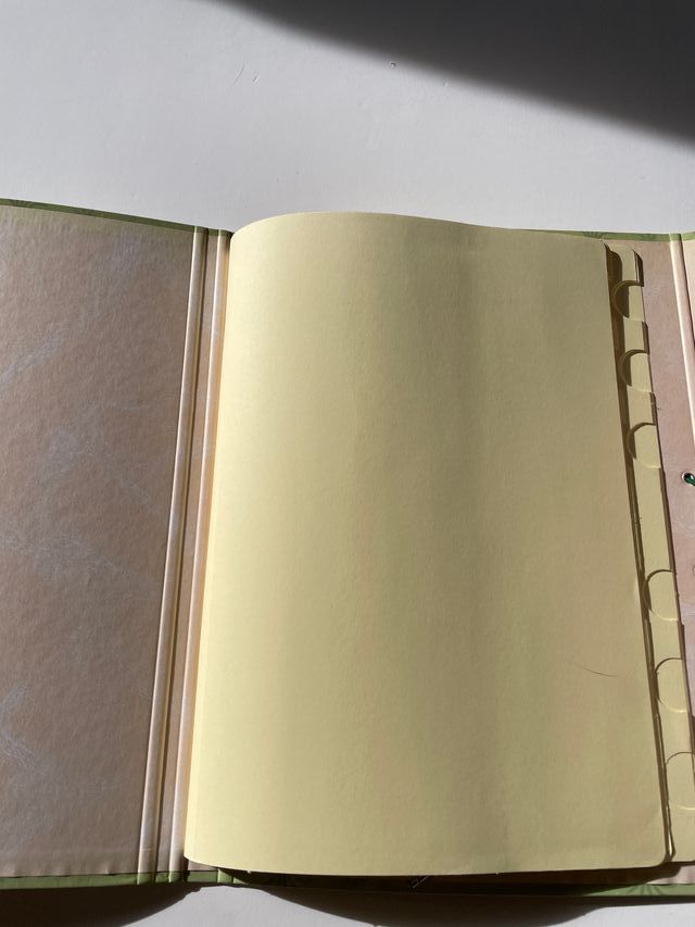 Carpeta clasificadora EL LIBRO DE LA SELVA DISNEY.