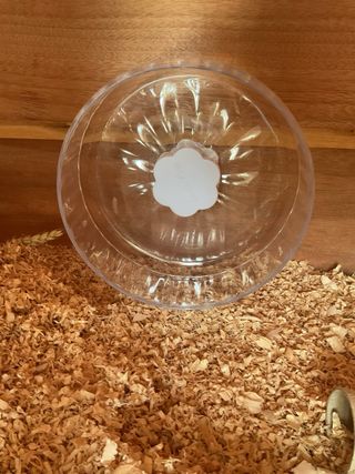 Ruota bucatstate 20cm