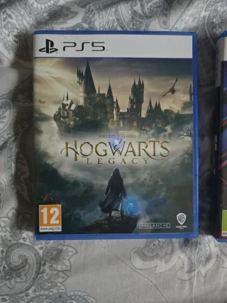 Hogwarts Legacy PS5