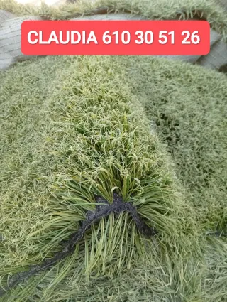 Césped artificial reciclado