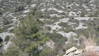 Terreno en venta en Can Lloses - Can Marcer en Sant Pere de Ribes