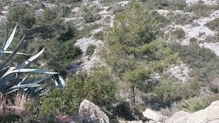 Terreno en venta en Can Lloses - Can Marcer en Sant Pere de Ribes