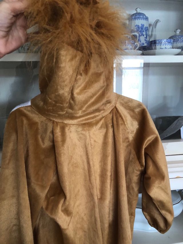 Disfraz de León Talla 7/9