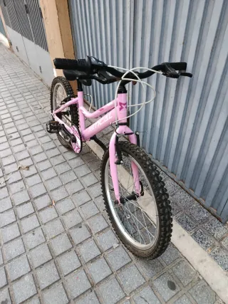 Bicicleta infantil rosa 20 pulgadas