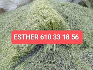 Césped artificial reciclado