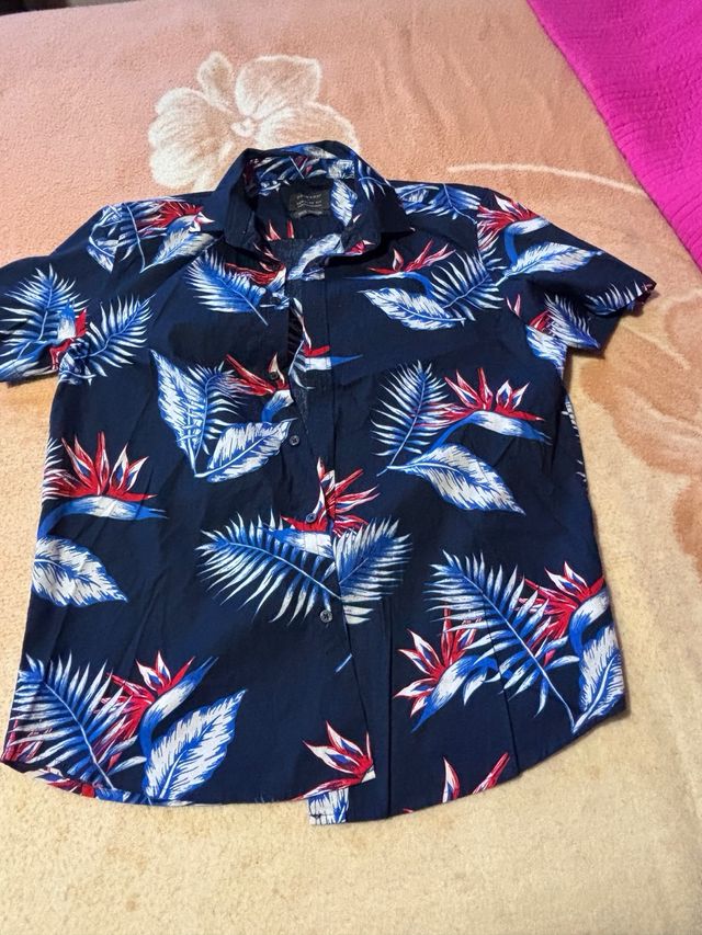 CUATRO camisas y UN jersey