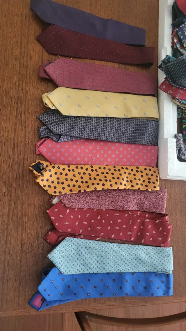 Lote de Corbatas Variadas