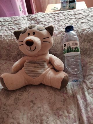 Gato de semillas para bebés