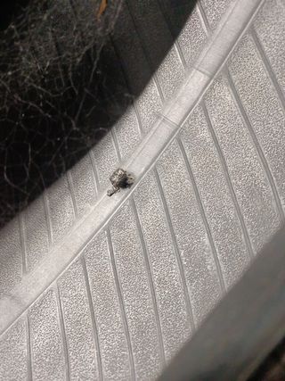 Neumático 215/55 R18 99V