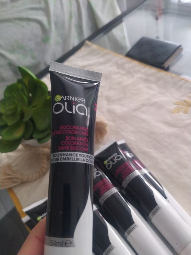 10 Acondicionadores Garnier Olia