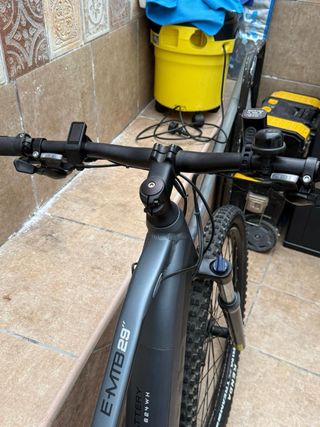 Bici Eléctrica E-MTB 29 48V