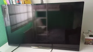 Schermo Philips 32 senza base. L'avevamo appeso al muro