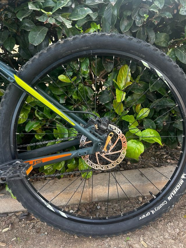 Bicicleta Focus Whistler MTB talla L