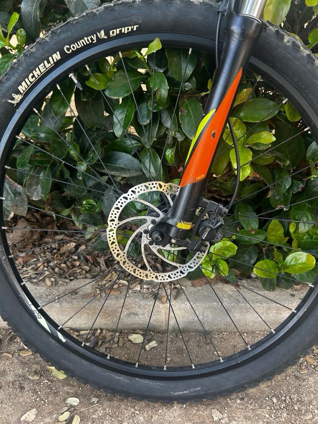 Bicicleta Focus Whistler MTB talla L