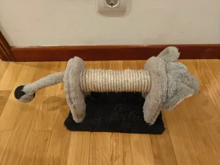 2 tiragraffi per gatti