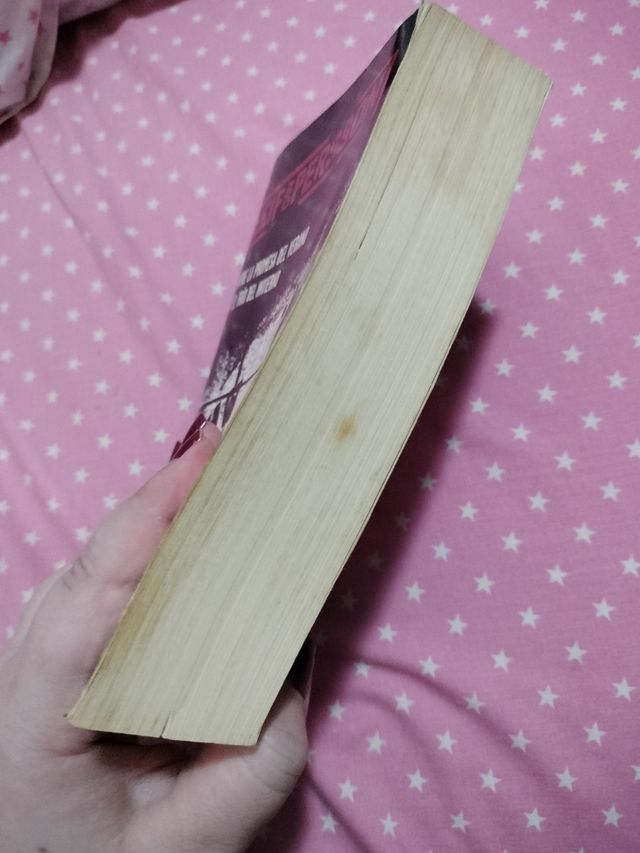 Libro "Entre la promesa del verano..."