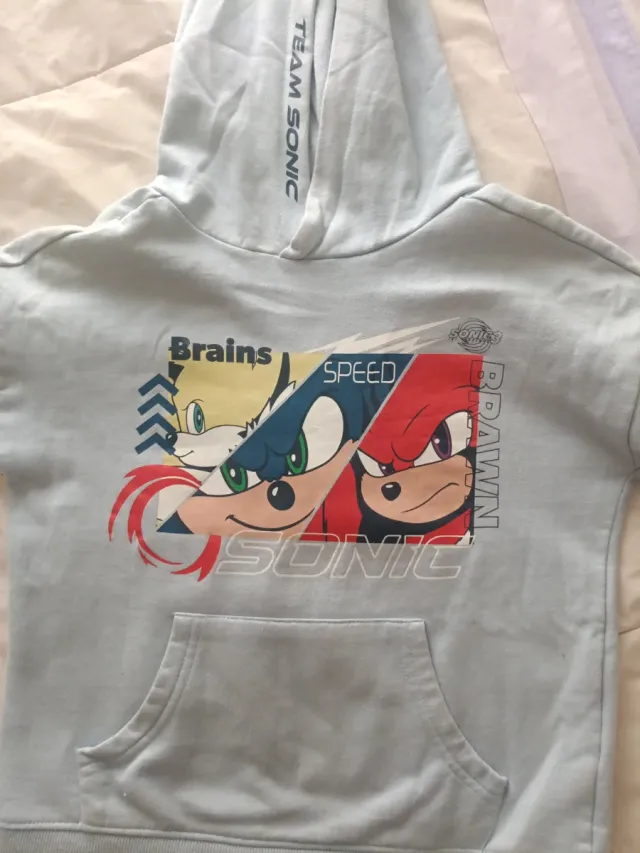 Sudadera Niño Sonic Team Sonic