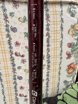 Caña de pescar Grauvell Telesurf 390