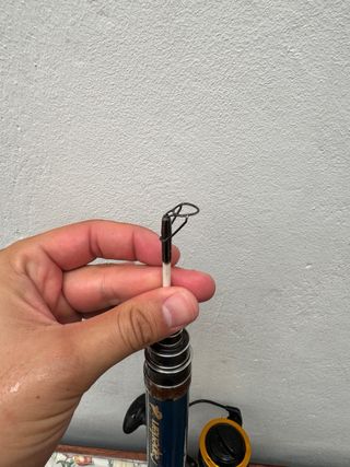 Caña de pescar Grauvell Telesurf 390