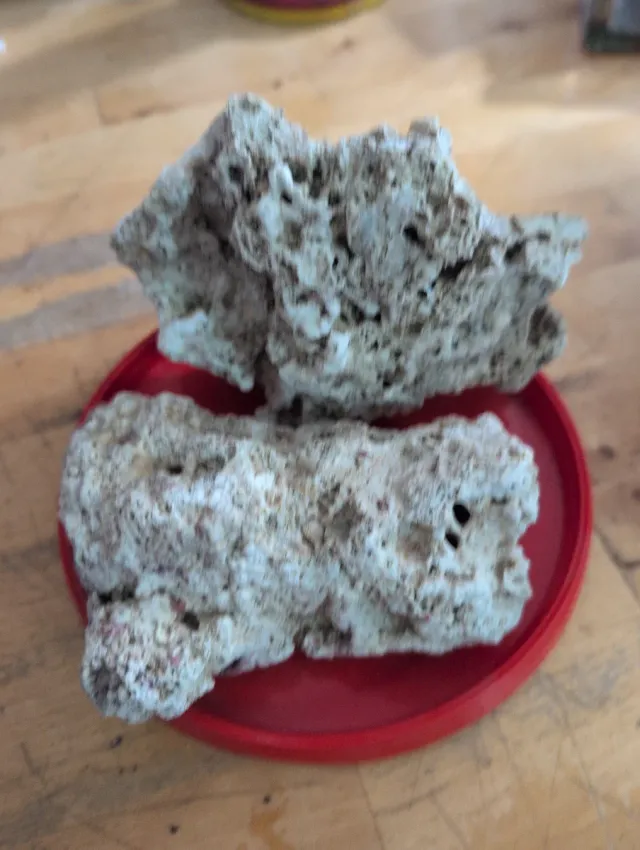 Roca marina decorativa