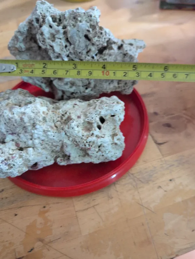 Roca marina decorativa