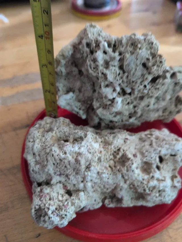 Roca marina decorativa