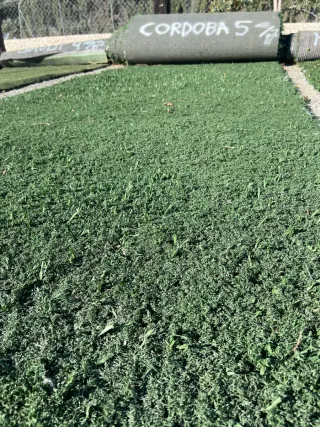 Césped artificial
