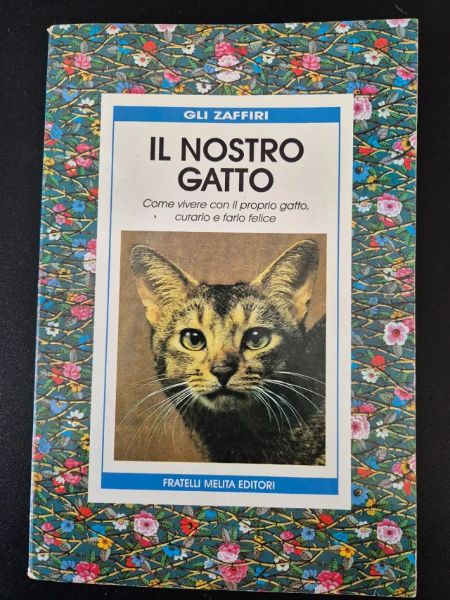 Il nostro gatto