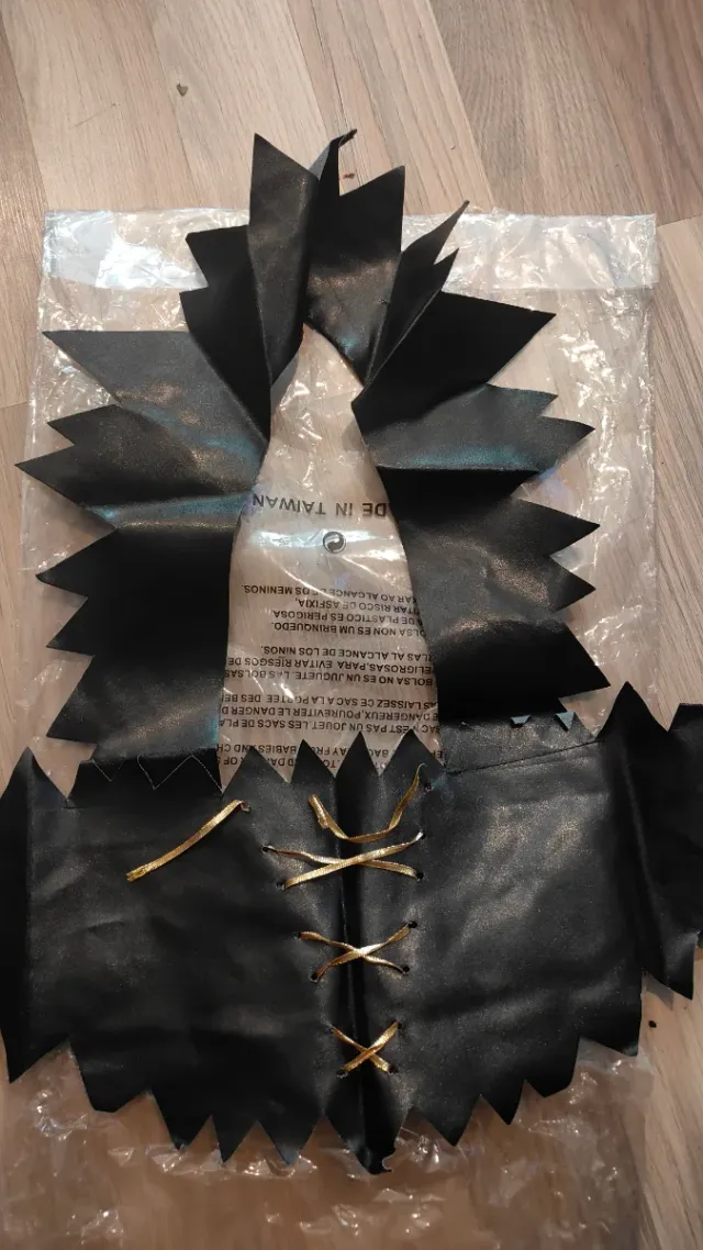 Disfraz Bruja Adulto Talla Única