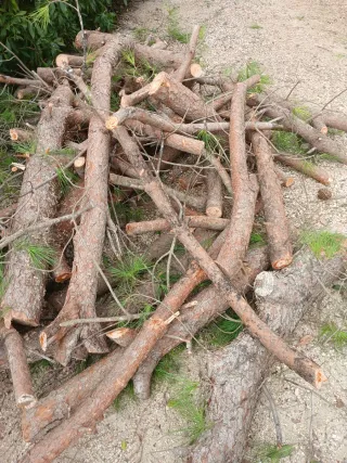 OFERTA GANGA Leña de pino cortada